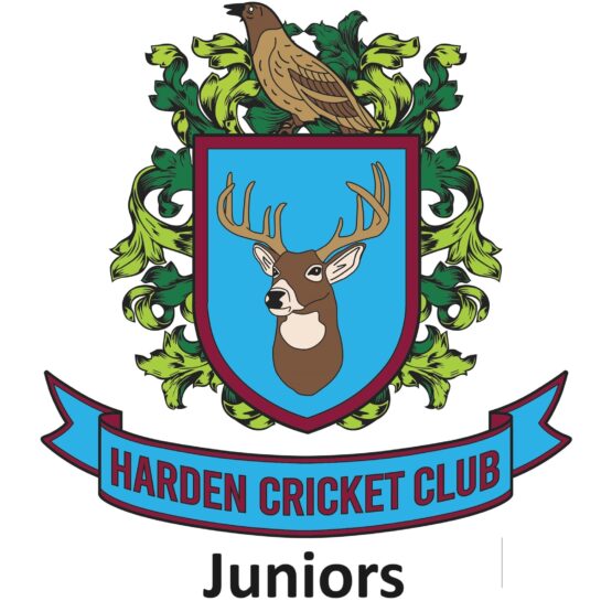 Harden Cricket Club Juniors